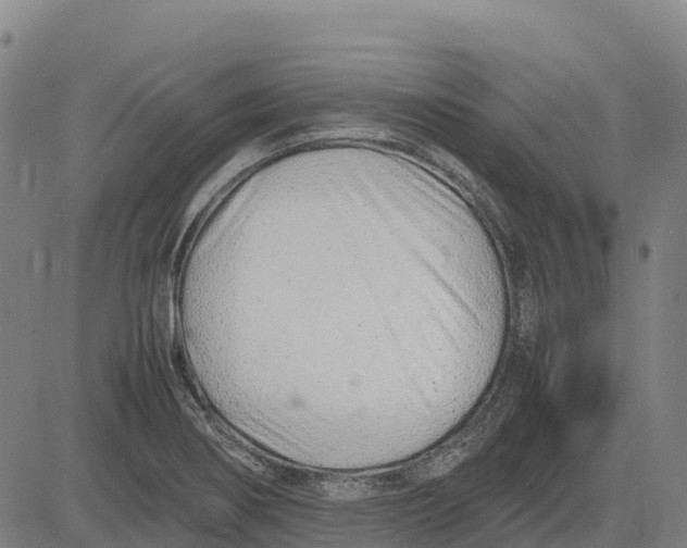 X0000083661274200703051742