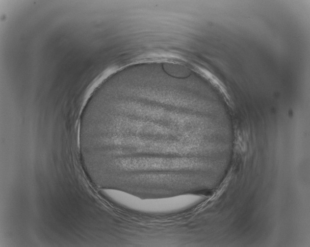 X0000083661275200703051742