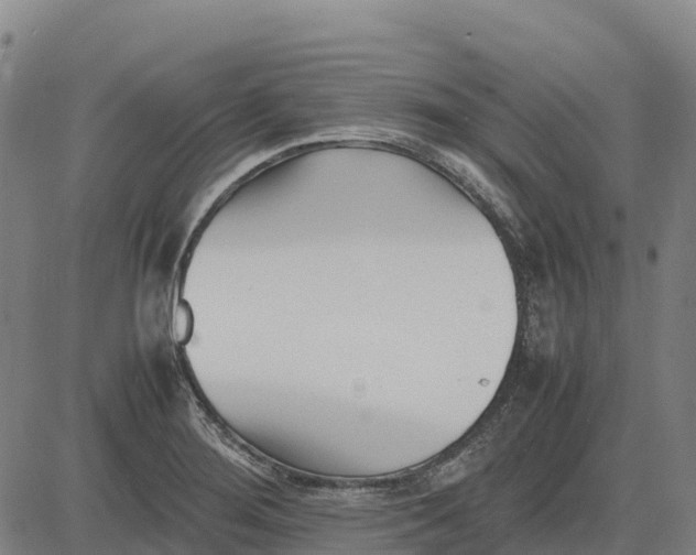 X0000083661276200703051742