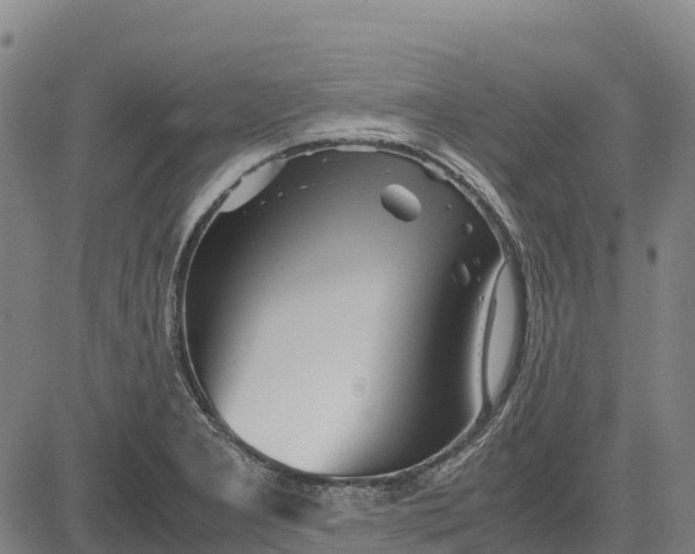 X0000083661277200703051742