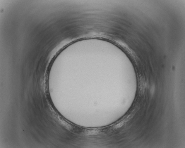 X0000083661278200703051742