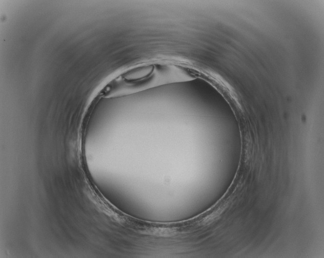 X0000083661280200703051742