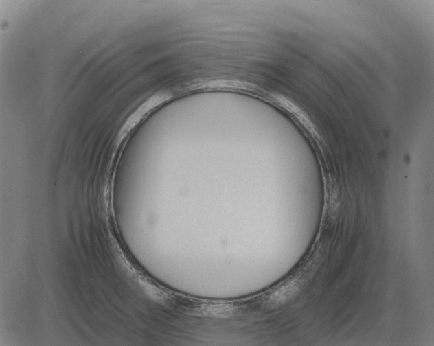 X0000083661282200703051742