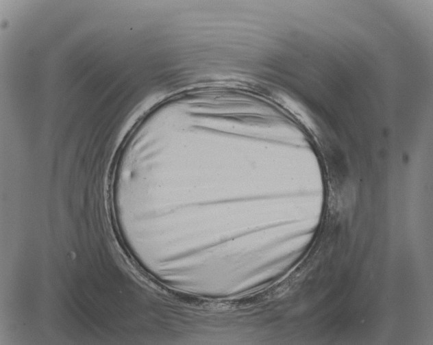 X0000083661283200703051742