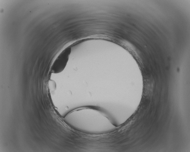 X0000083661284200703051742