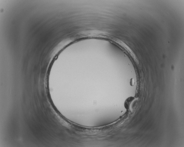 X0000083661285200703051742