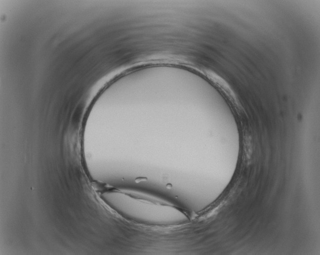 X0000083661288200703051742