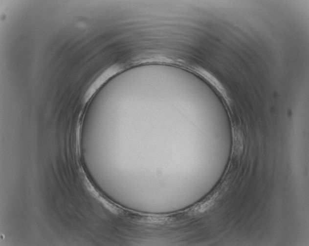 X0000083661290200703051742