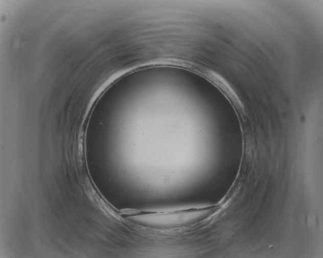 X0000083661292200703051742