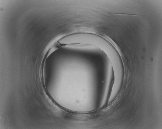 X0000083661293200703051742