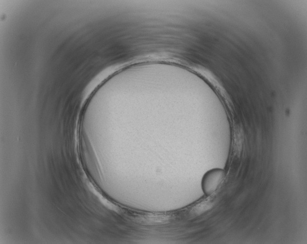 X0000083661294200703051742