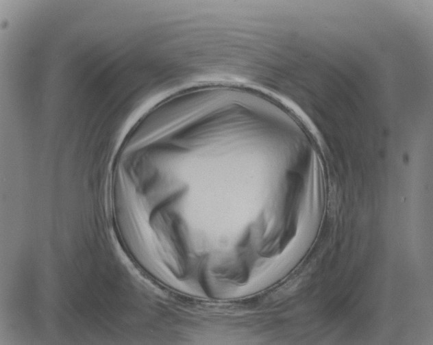 X0000083661295200703051742