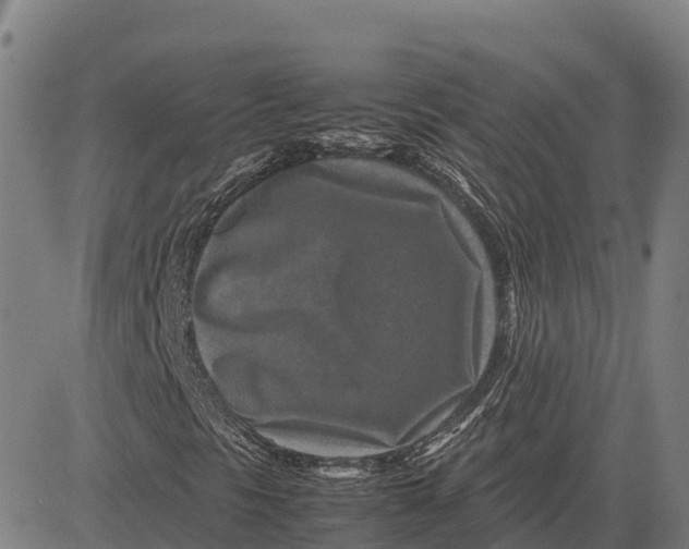 X0000083661297200703051741