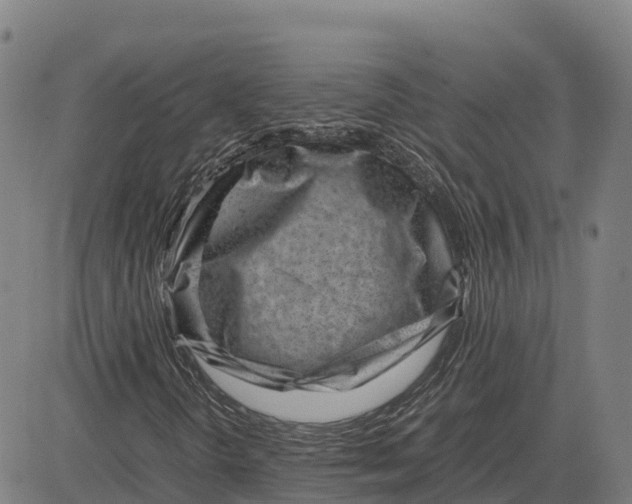 X0000083661298200703051741