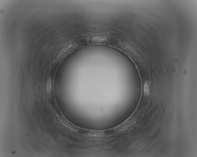 X0000083661299200703051741