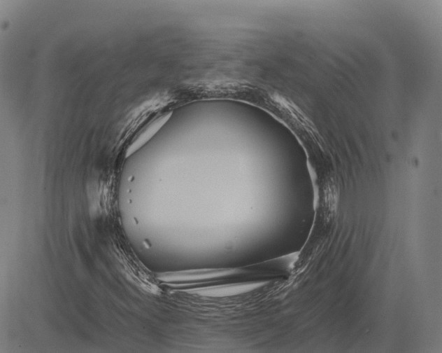 X0000083661300200703051741