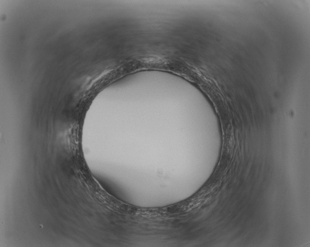 X0000083661301200703051741