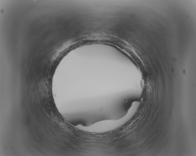 X0000083661304200703051741