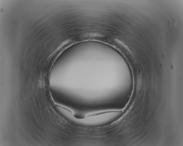 X0000083661305200703051741