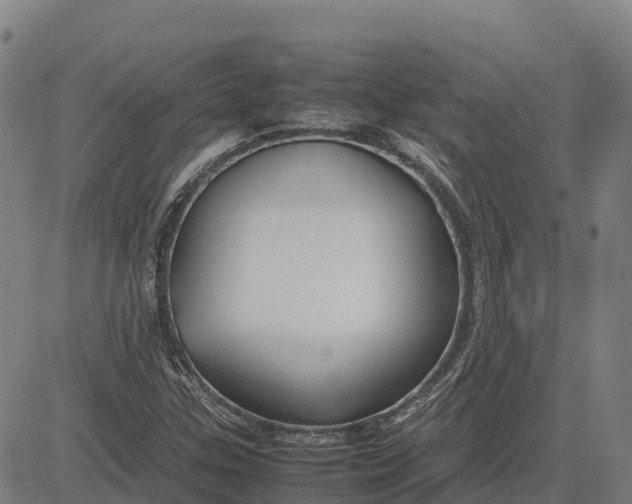 X0000083661307200703051741