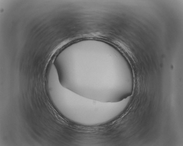 X0000083661308200703051741