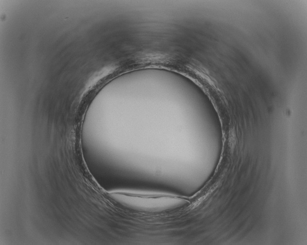 X0000083661309200703051741