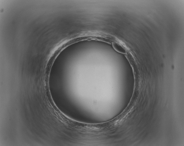 X0000083661312200703051742