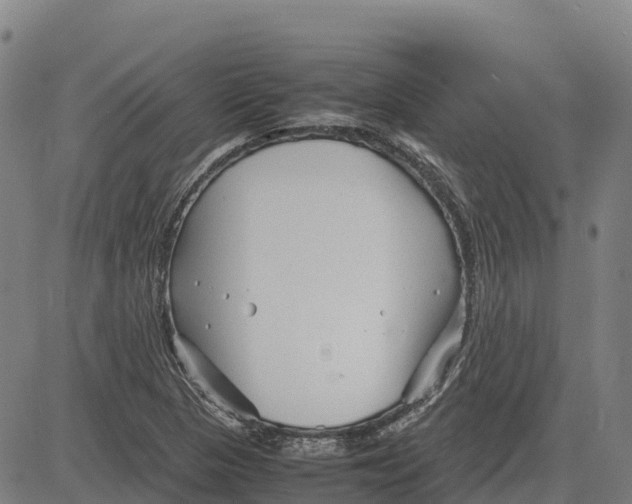 X0000083661313200703051742