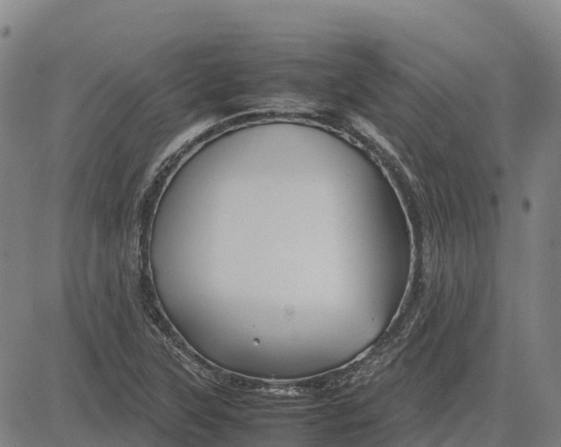 X0000083661315200703051742