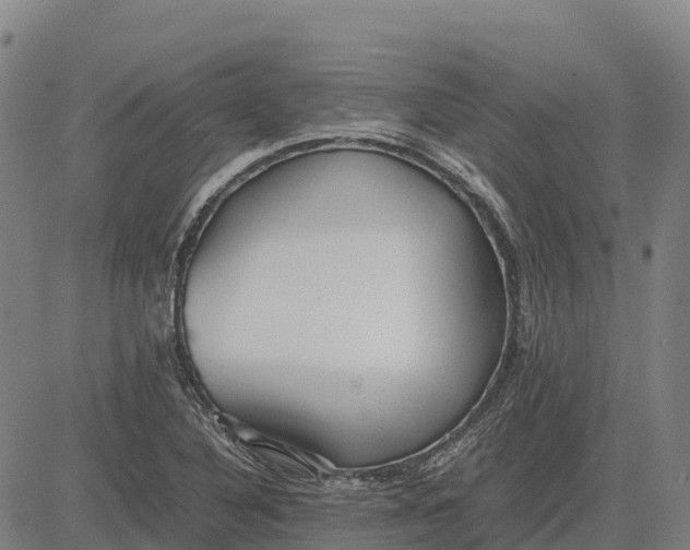 X0000083661316200703051742