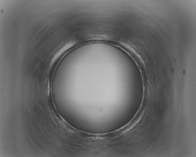 X0000083661317200703051742