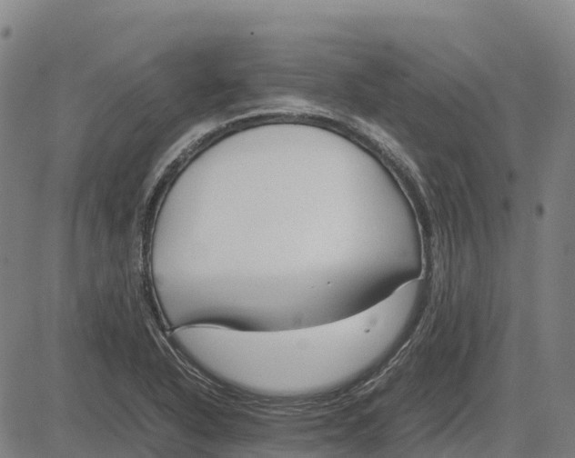 X0000083661318200703051742