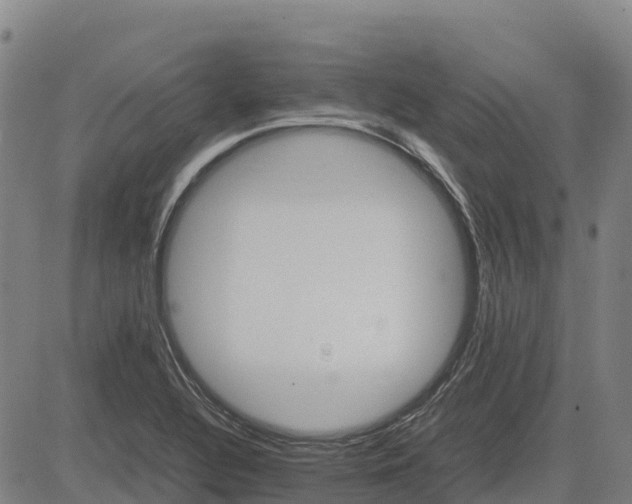 X0000083661320200703051742