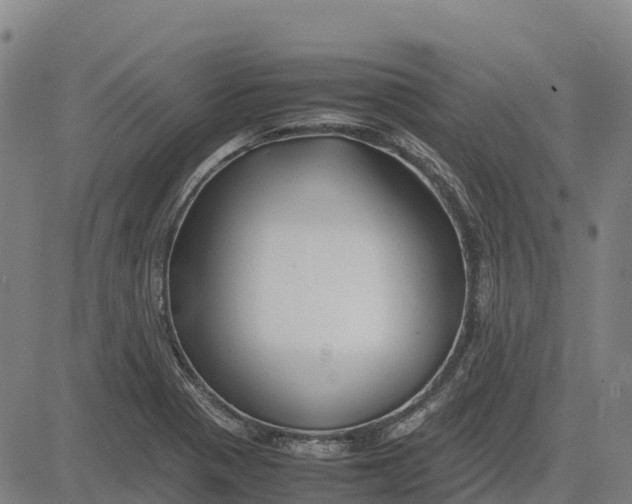 X0000083661321200703051742