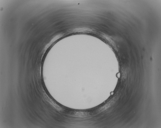 X0000083661322200703051742