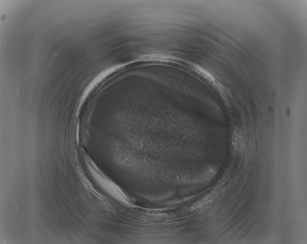 X0000083661323200703051742