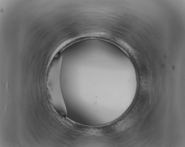 X0000083661324200703051742