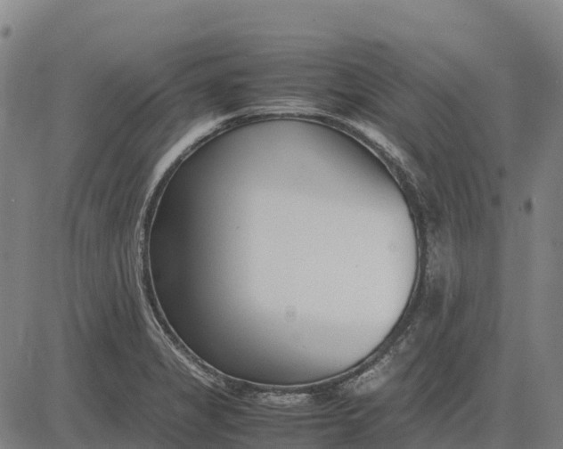 X0000083661325200703051742