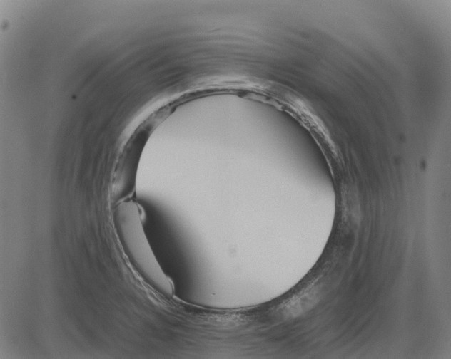 X0000083661328200703051742