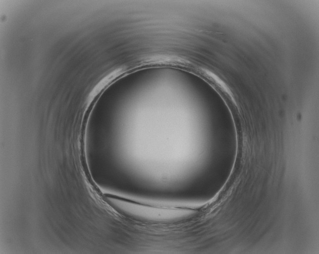 X0000083661330200703051742