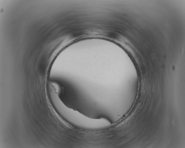 X0000083661333200703051742