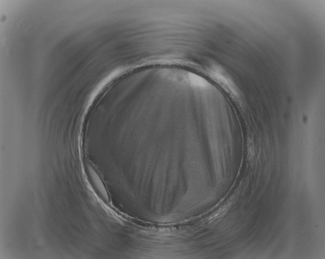 X0000083661334200703051742