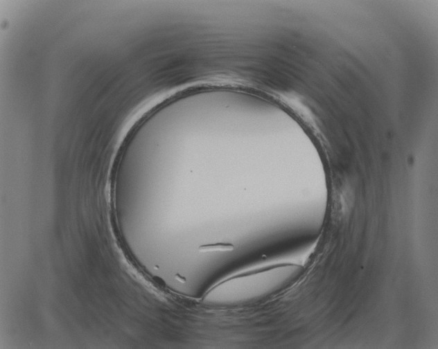 X0000083661335200703051742