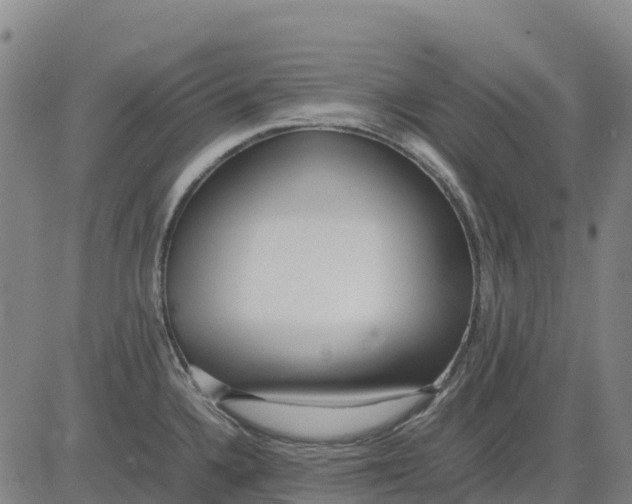 X0000083661336200703051742