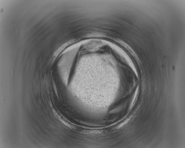 X0000083661337200703051742