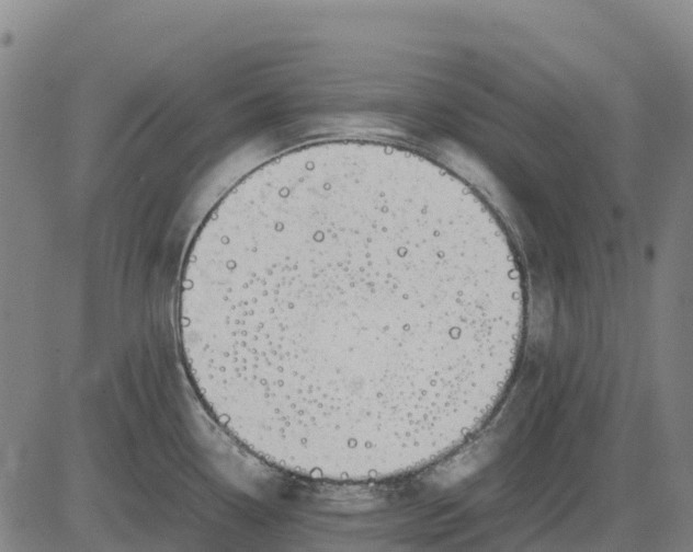 X0000083661338200703051742