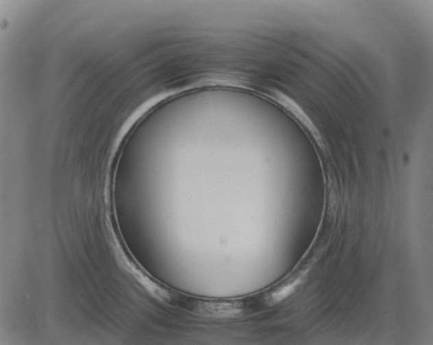 X0000083661339200703051742