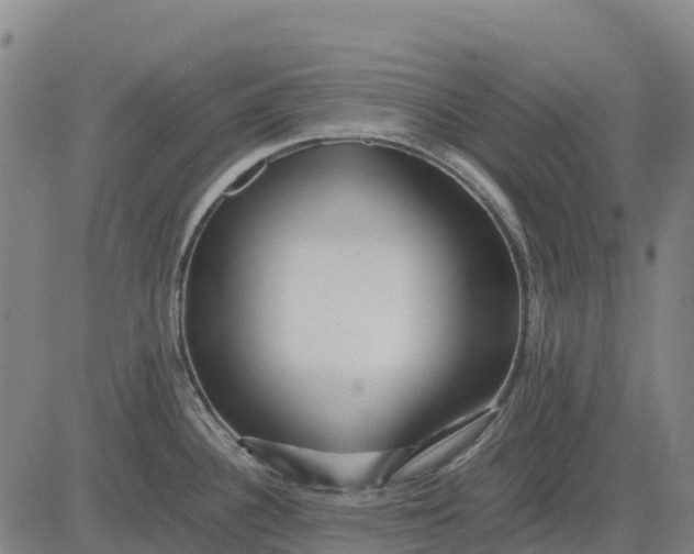 X0000083661340200703051742