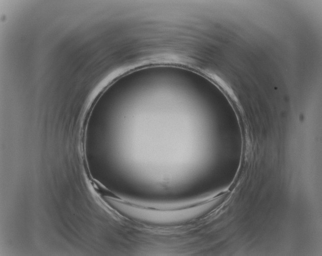 X0000083661342200703051742