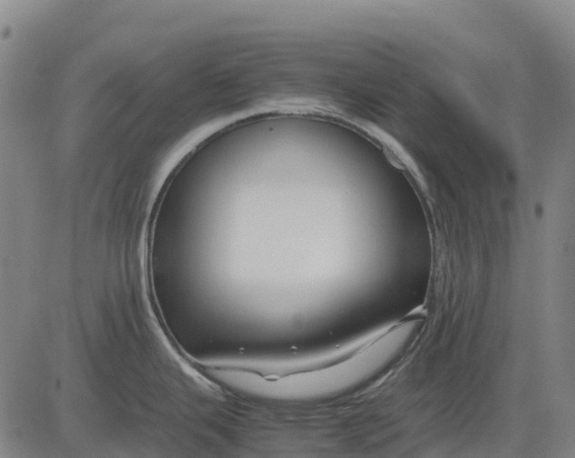 X0000083661343200703051742